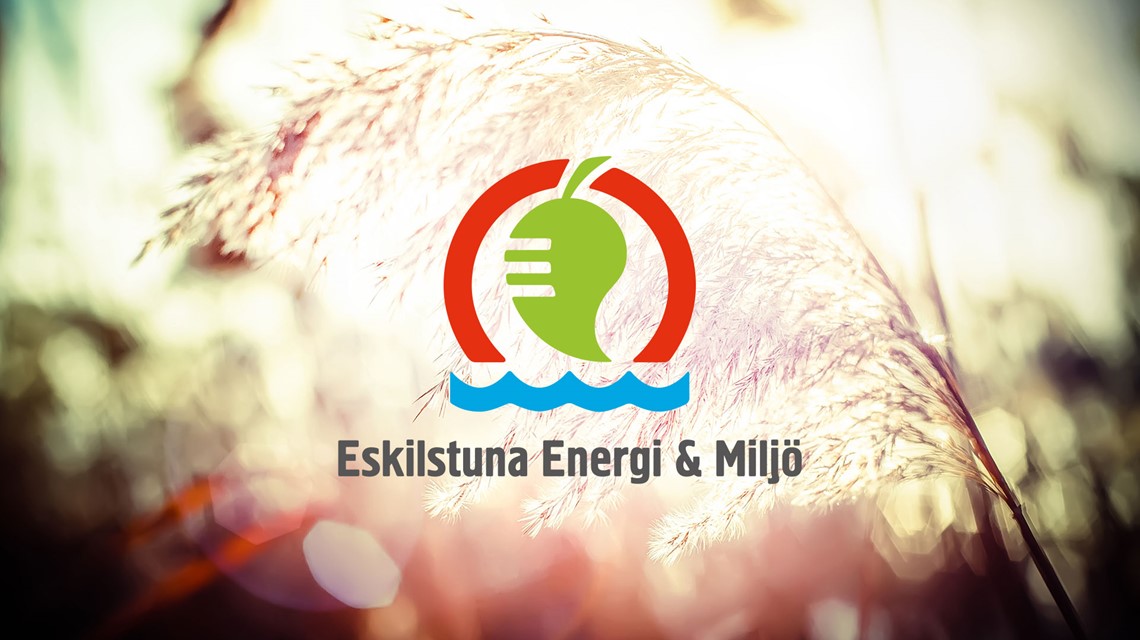 Logotyp för EEM framför bild på en växt.